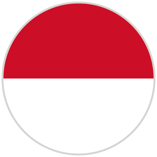 Language Flag